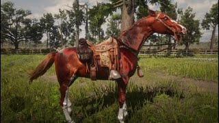 The Most Beautiful horses in RDR2 online perlino at 245 [upl. by Alboran]