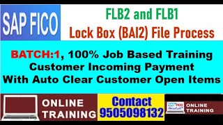 SAP FICO Batch 1 Lock Box File ProcessBAI2 File FormatFLB2 FLB1 In English [upl. by Laen]