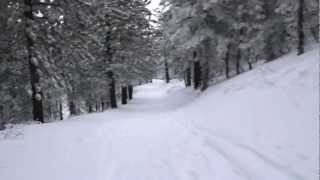 Cross Country Skiing at Mt Pinos California [upl. by Nylloc185]