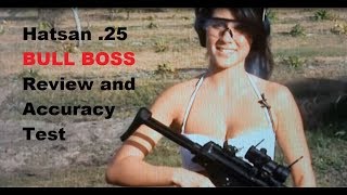 Hatsan Bull Boss Review amp Accuracy Test 25 Caliber PCP Rifle [upl. by Krueger107]