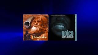 Didgeridoo Meets Voice Percussion [upl. by Anovad]