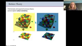 Biopsychology  Colour theories [upl. by Storm575]