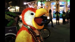 Jimmy Buffett ‘Parrot Head’ fans parade in New Orleans [upl. by Kristofor]