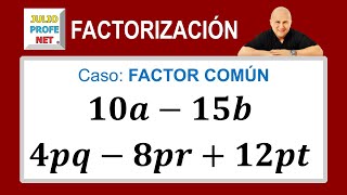 Caso 1 de factorización factor común [upl. by Hgielak]