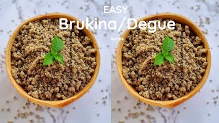 HOW TO MAKE Easy BRUKINADEGUETHIAKRY FROM SCRATCH Millet Yogurt drink Efuathecontentcreator [upl. by Aelat716]