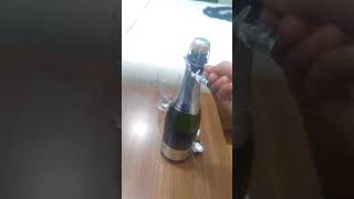 Sula Vineyards Sparkling Wine [upl. by Garrott]