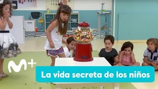 Pets  A Vida Secreta dos Bichos 2  Trailer 2 Oficial Dublado Universal Pictures HD [upl. by Mamie139]