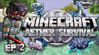 Minecraft Aether 2 Survival Lets Play Ep 2  Dungeon Crawler [upl. by Cynthea]