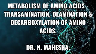 Metabolism of Amino acids  Transamination Deamination amp Decarboxylation of Amino acids [upl. by Kohn16]