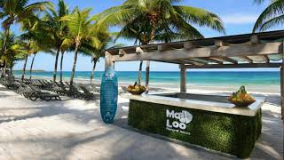 Amazing Resort Catalonia Royal Tulum Beach amp Spa Resort Adults Only  All InclusiveXpu Ha Mexico [upl. by Tammie]