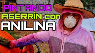 PINTANDO aserrín CON anilina 👉 😀 [upl. by Dnomsad]