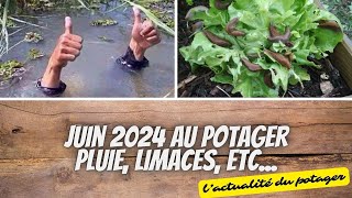 👩‍🌾 Juin 2024 au potager  pluie limaces etc vaut mieux en rire [upl. by Ranit230]