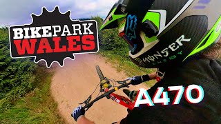 Bike Park Wales 2024 New improved A470 line viral [upl. by Lancelot]