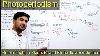 Photoperiodism class 12  photoperiodism in plants  Role of Phytochromes in plants flowering [upl. by Assilen]