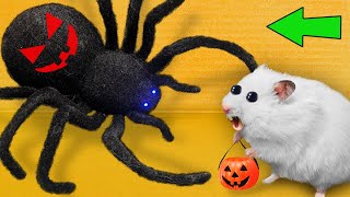 DIY New Halloween Hamster Maze 🎃 Hamster Escapes [upl. by Andee192]