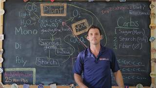 Carbs vs Fats  Clarifying the Confusion 25 Min Phys [upl. by Itak]