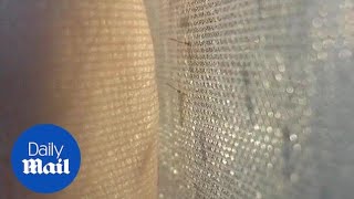 Creepy video shows mosquitoes trying to reach skin through net [upl. by Oluas]