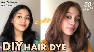 DIY AFFORDABLE HAIR DYE  NO BLEACH black to brown  Ms Krisha Natividad [upl. by Hirschfeld405]