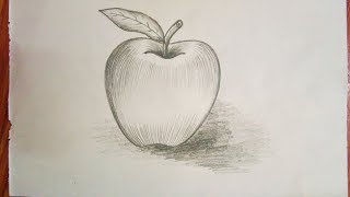 Apple sketch for kids [upl. by Andel]