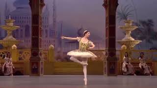 LE CORSAIRE  Odalisque Variation 1 Ana Turazashvili  Bolshoi Ballet [upl. by Meingoldas771]