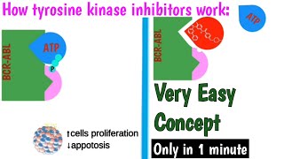 Machnism action of Tyrosine kinase inhibitors  How imatinib work  Treatment of CML [upl. by Ruhnke]