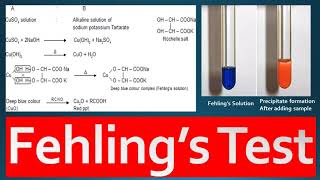 Fehlings Test Principle Procedure and Reagent Preparation [upl. by Baalbeer920]