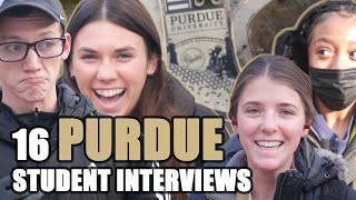 16 Students Say Why They Chose Purdue University  Purdue Student Interviews [upl. by Friederike]