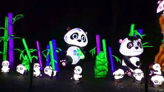 China Light festival in Ouwehands Dierenpark Rhenen 2018 [upl. by Oremor373]