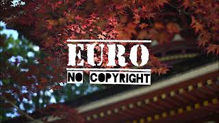 DALOKA ★ I DONT KNOW EURO NO COPYRIGHT MUSIC [upl. by Alfy]