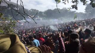 420 on 420 2019 Hippie Hill [upl. by Delmore362]