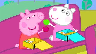 El Viaje Escolar  Peppa Pig en Español Episodios Completos [upl. by Fenn]