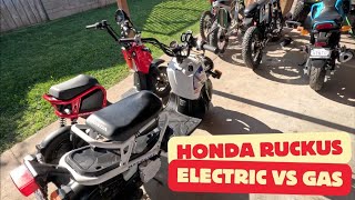 Electric VS Gas Honda Ruckus Comparison [upl. by Mallon]