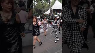 Los Pachucos se encuentran en la Plaza de la Ciudadela en la Ciudad de México [upl. by Bartholomeo457]