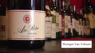 Weingut Van Volxem [upl. by Light]