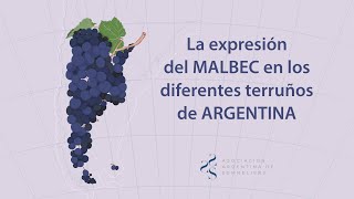 La expresión del MALBEC en los diferentes terruños de ARGENTINA [upl. by Rukna]