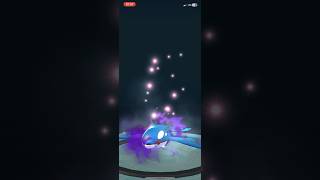 PURIFYING MY SHADOW KYOGRE IN Pokémon GO 😭 [upl. by Boehike664]