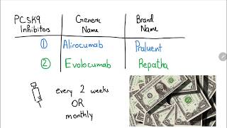 PCSK9 Inhibitors Explained in 3 Minutes [upl. by Yrac]