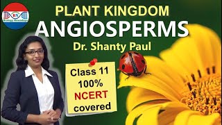 Angiosperms  Plant kingdom [upl. by Hakkeber40]