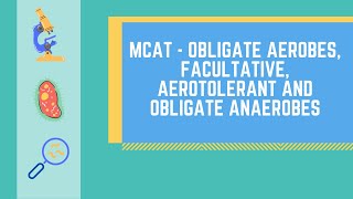 Obligate Aerobes Obligate Anaerobes Facultative Anaerobes and Aerotolerant Anaerobes [upl. by Eninotna]