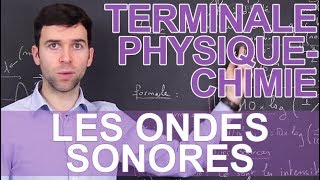 Les ondes sonores  PhysiqueChimie  Terminale  Les Bons Profs [upl. by Sloatman]