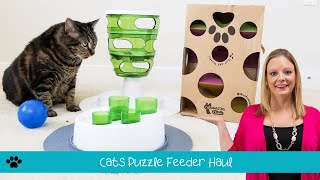 Cats Tested Puzzle Feeder Haul [upl. by Maure521]