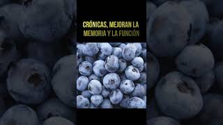 ¡Arándanos El superalimento que necesitas 🍇 arandanos antioxidantes memoria shorts [upl. by Calendre]