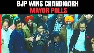 Chandigarh Mayor Election Result  BJP Wins Mayoral Elections In First Poll Battle Versus INDIA Bloc [upl. by Don]