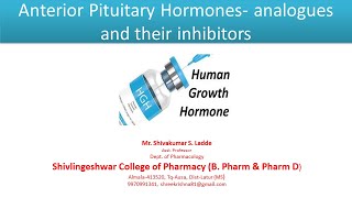 Part 04 Anterior Pituitary Hormones analogues and their inhibitors [upl. by Eiboh920]