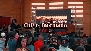 Chivo Tatemado En Vivo  Grupo Cizma [upl. by Svend320]