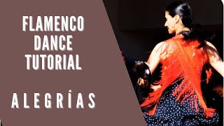 Learn This Flamenco Dance Tutorial  Step by Step [upl. by Caylor863]