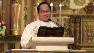 The Nativity of the Lord Christmas  Homily of Rev Fr Joenick Territorio [upl. by Silvana192]