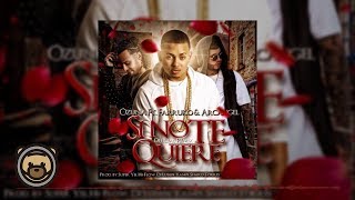 Ozuna  Si No Te Quiere Remix feat Arcangel amp Farruko Audio Oficial [upl. by Iverson]