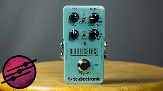 TC Electronic Quintessence Harmonizer Demo Ambient Guitar Gear Review [upl. by Ainitsirc]