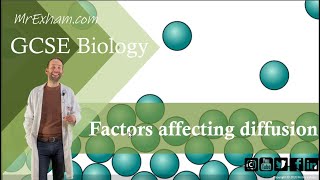 Factors Affecting Rate of Diffusion  GCSE Biology 91 84B [upl. by Kaiulani]